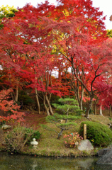 池と紅葉