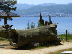 天橋立_020