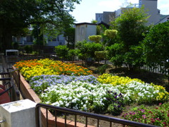 都会宅地の花壇