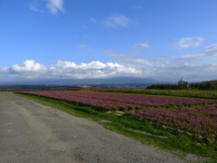 上富良野風景10