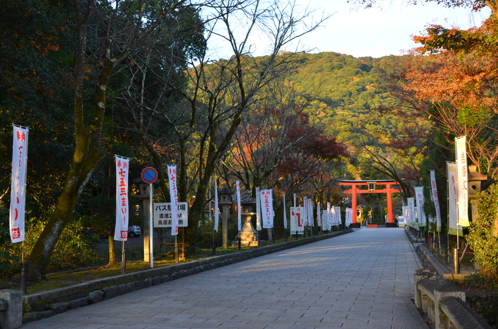 早朝の参道