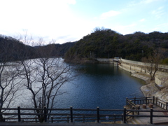レトロダム