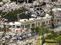 桜の向こうに山陽電鉄