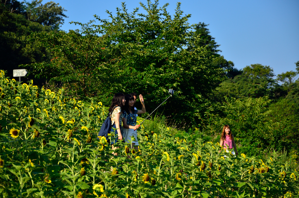 お花畑で撮影会