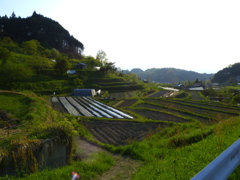 明日香村棚田風景_02