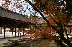 神社境内風景