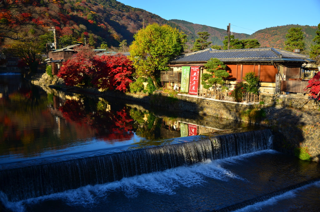 秋の嵐山風景