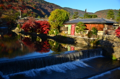 秋の嵐山風景