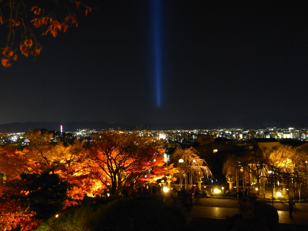 夜景と紅葉