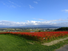 上富良野風景16