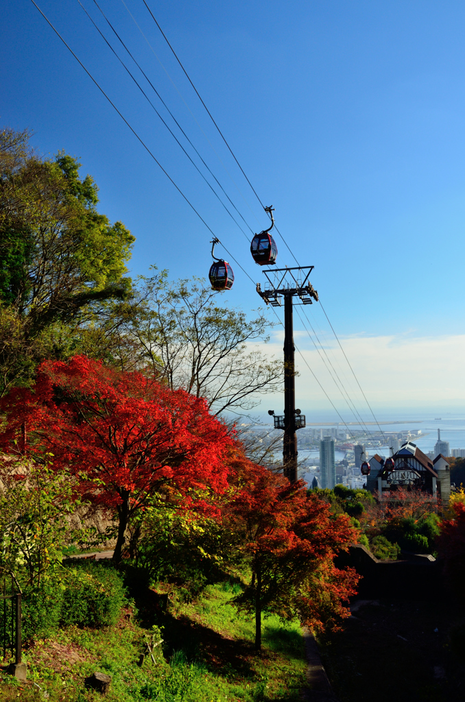 秋のハーブ園