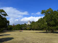 長閑な一日