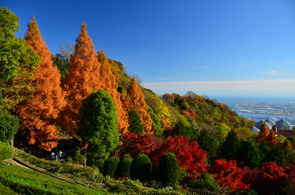 鮮やか秋景色