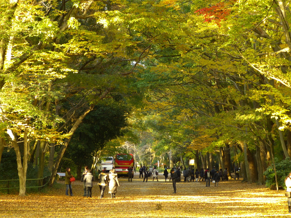 参道