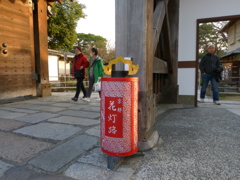 花灯路