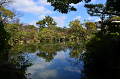 清涼感