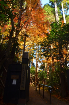 大河内山荘