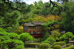 存在感