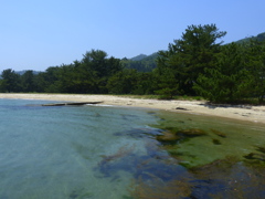 天橋立_010