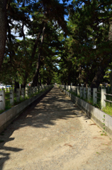 法隆寺への道