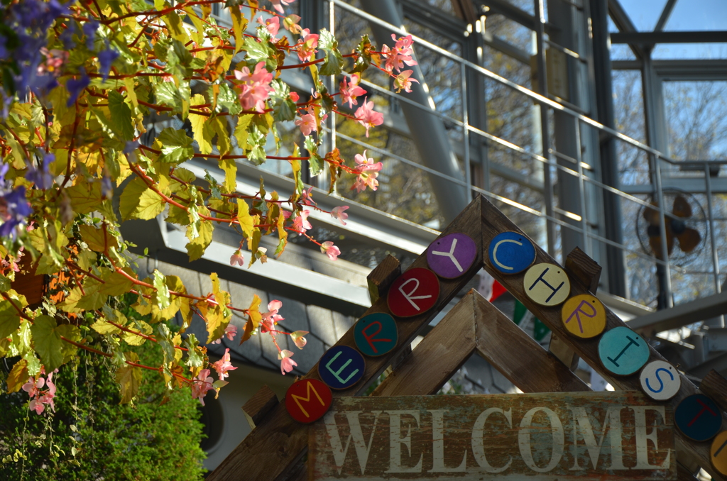 メリー・クリスマス