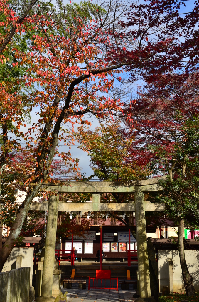 駅と参道