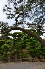 玉藻公園_02