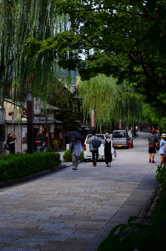 新緑京都