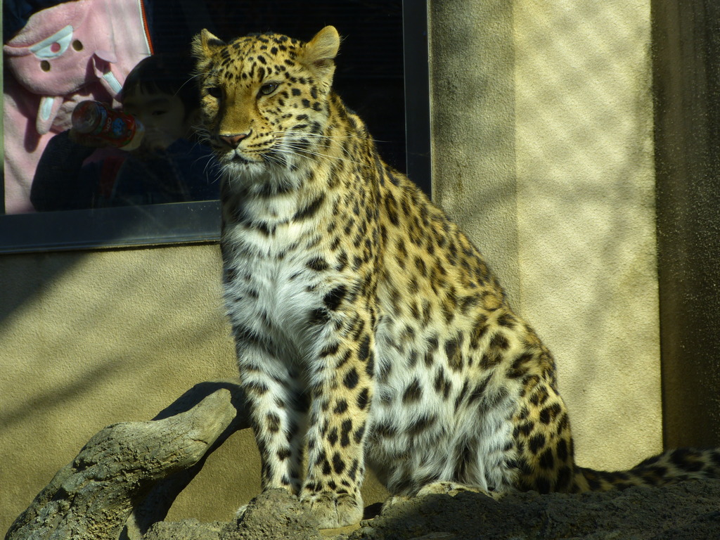 王子動物園_04