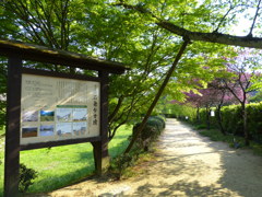 石舞台古墳_03