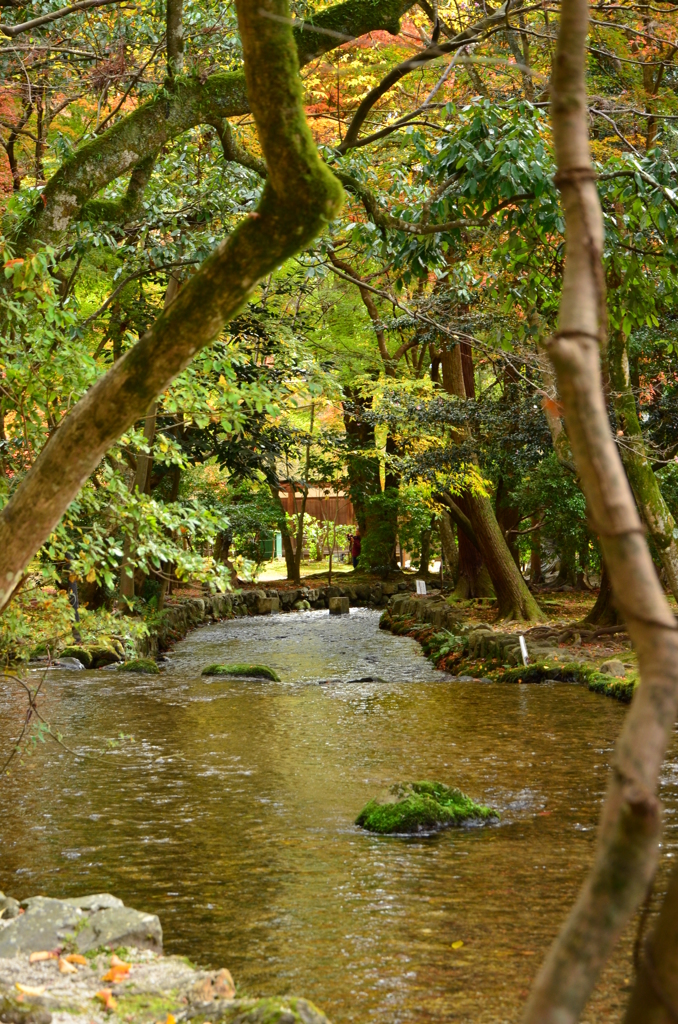 水は流れて