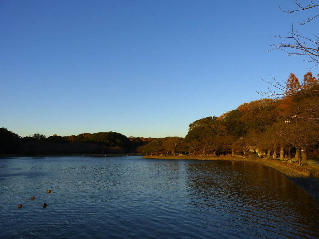 人恋しい風景