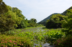 特別名勝：栗林公園_01