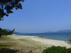 天橋立_018