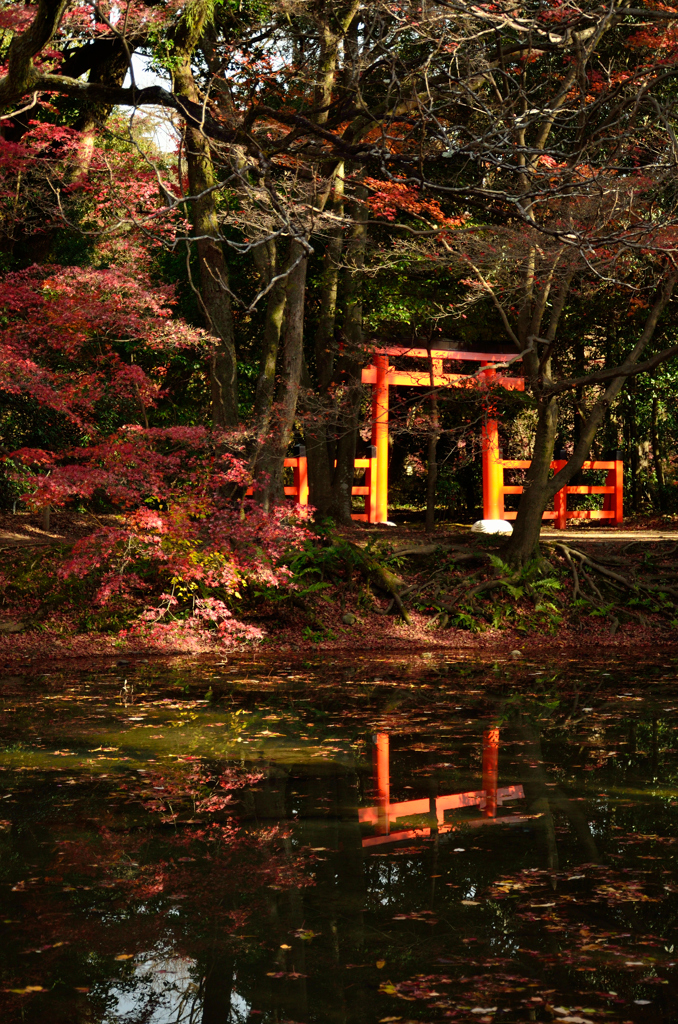 鳥居水鏡