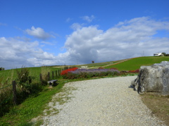 上富良野風景01