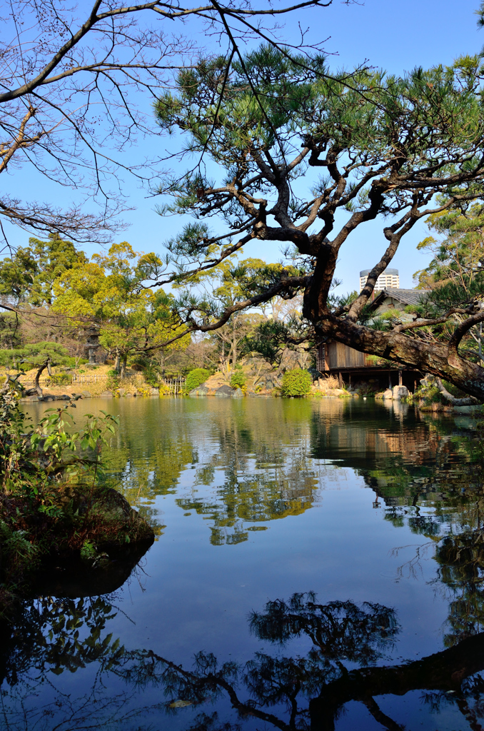 庭園風景