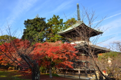 仏閣の紅葉