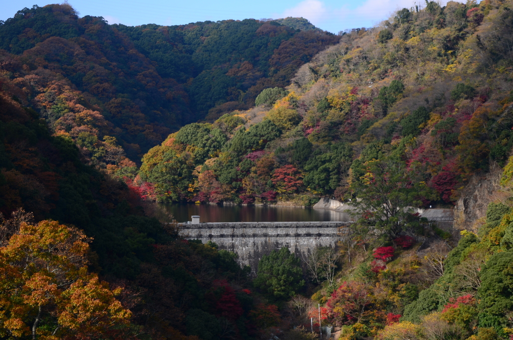 山の初秋