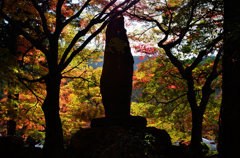 南禅寺紅葉風景