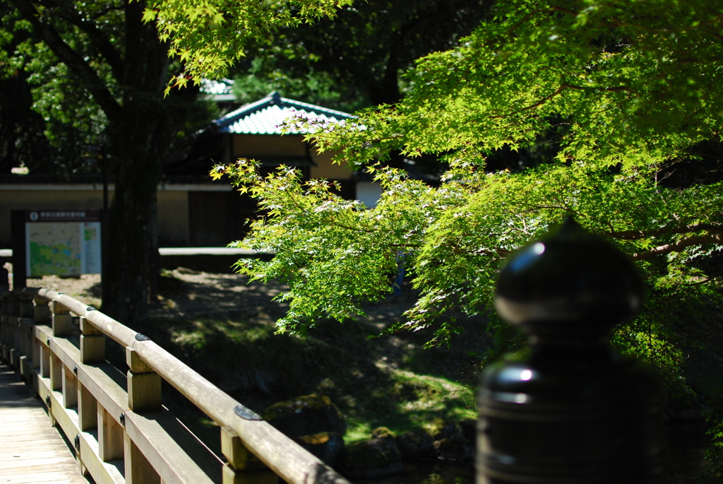 橋