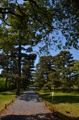 お散歩
