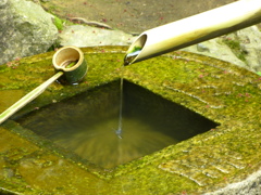 竹と水