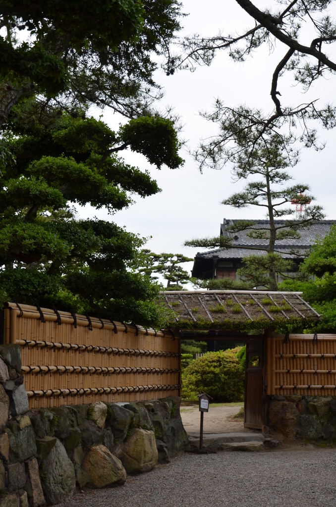 玉藻公園_01