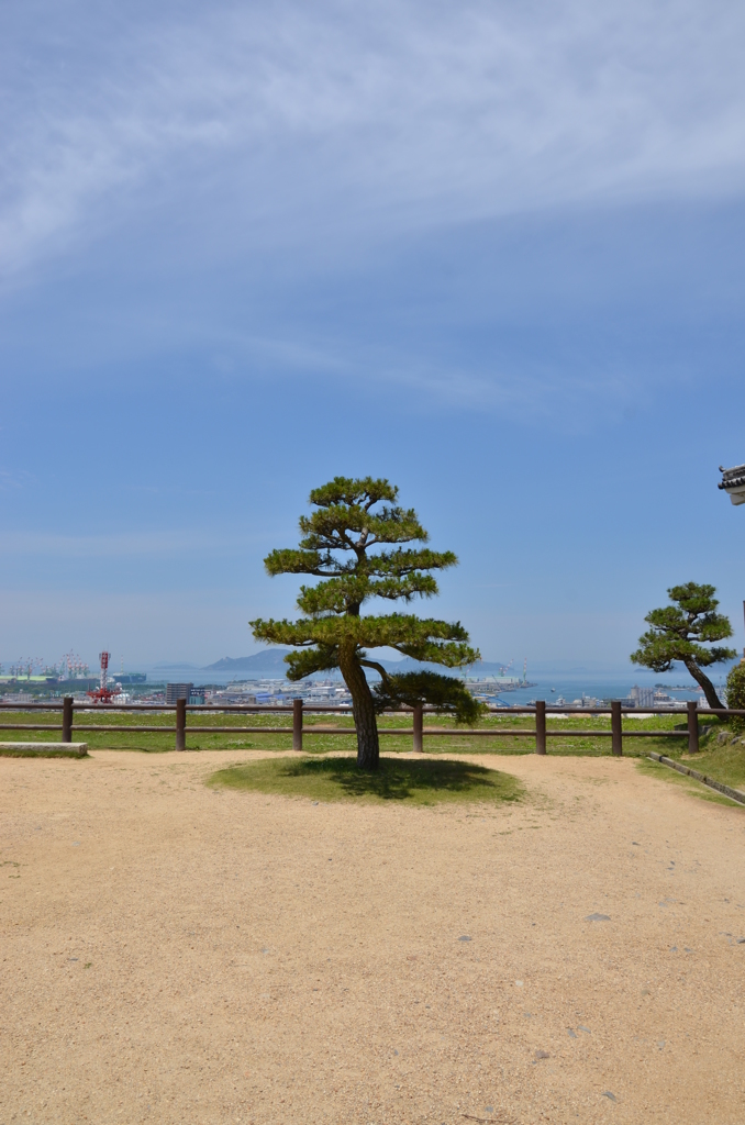 丸亀城本丸広場