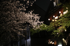 目黒川