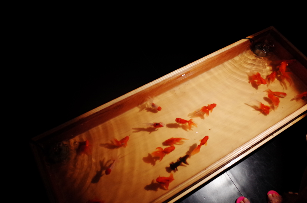 アクアリウム展