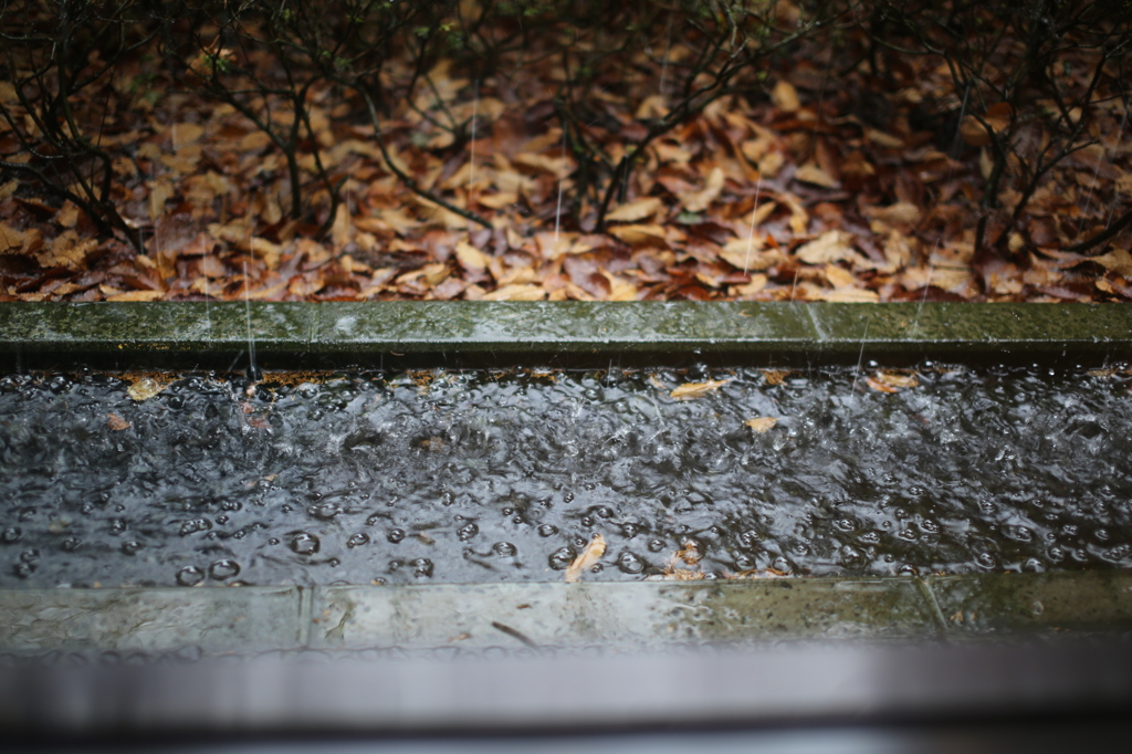 突然の雨