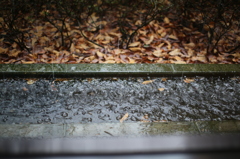 突然の雨