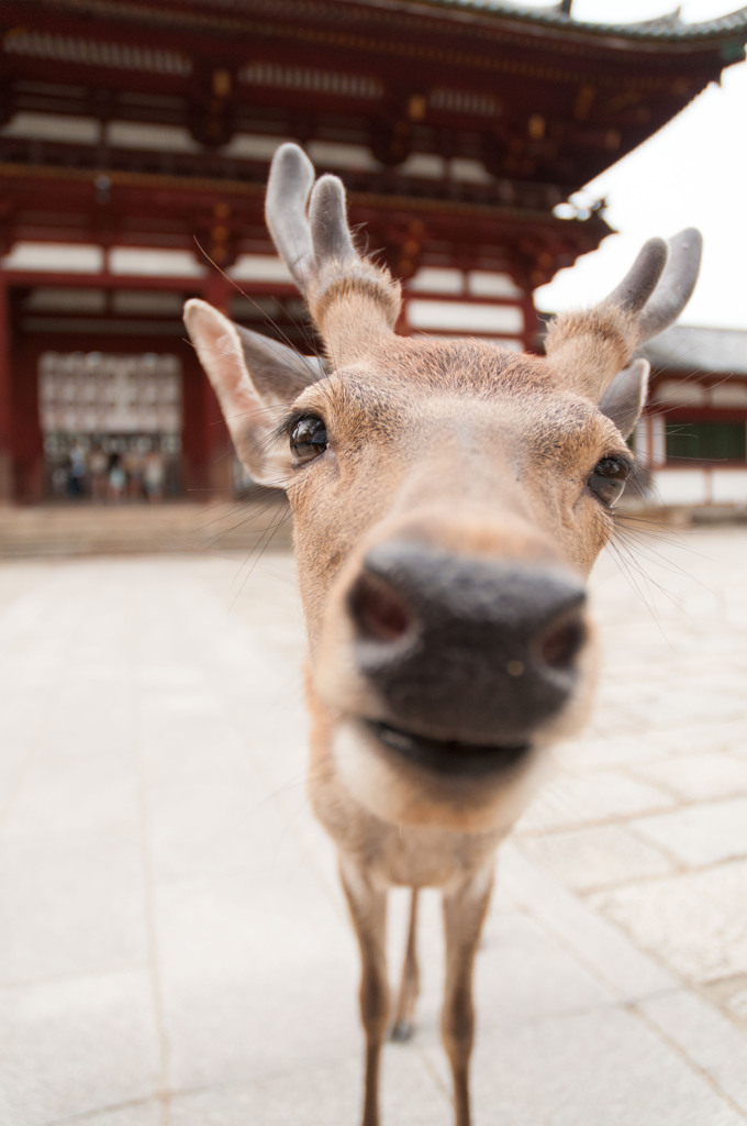 僕も興味津々